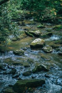 River stream - — Etowah Creative Co.
