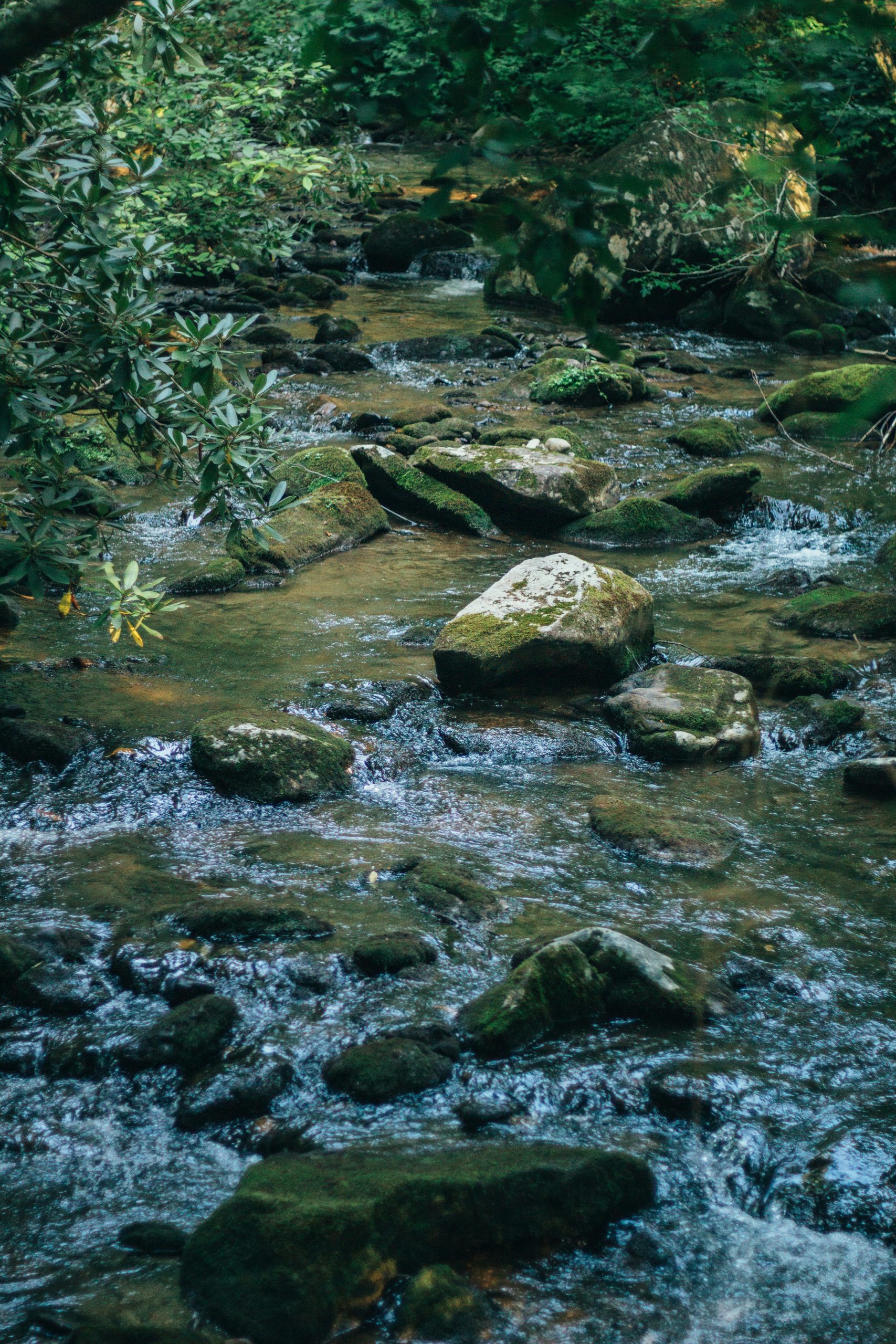 River stream - — Etowah Creative Co.