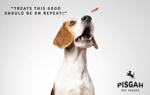 Pisgah Pet Treats brand identity and packaging design - Etowah Creative Co.