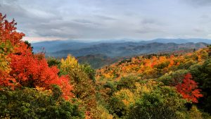 Fall in Western North Carolina - Etowah Creative Co.