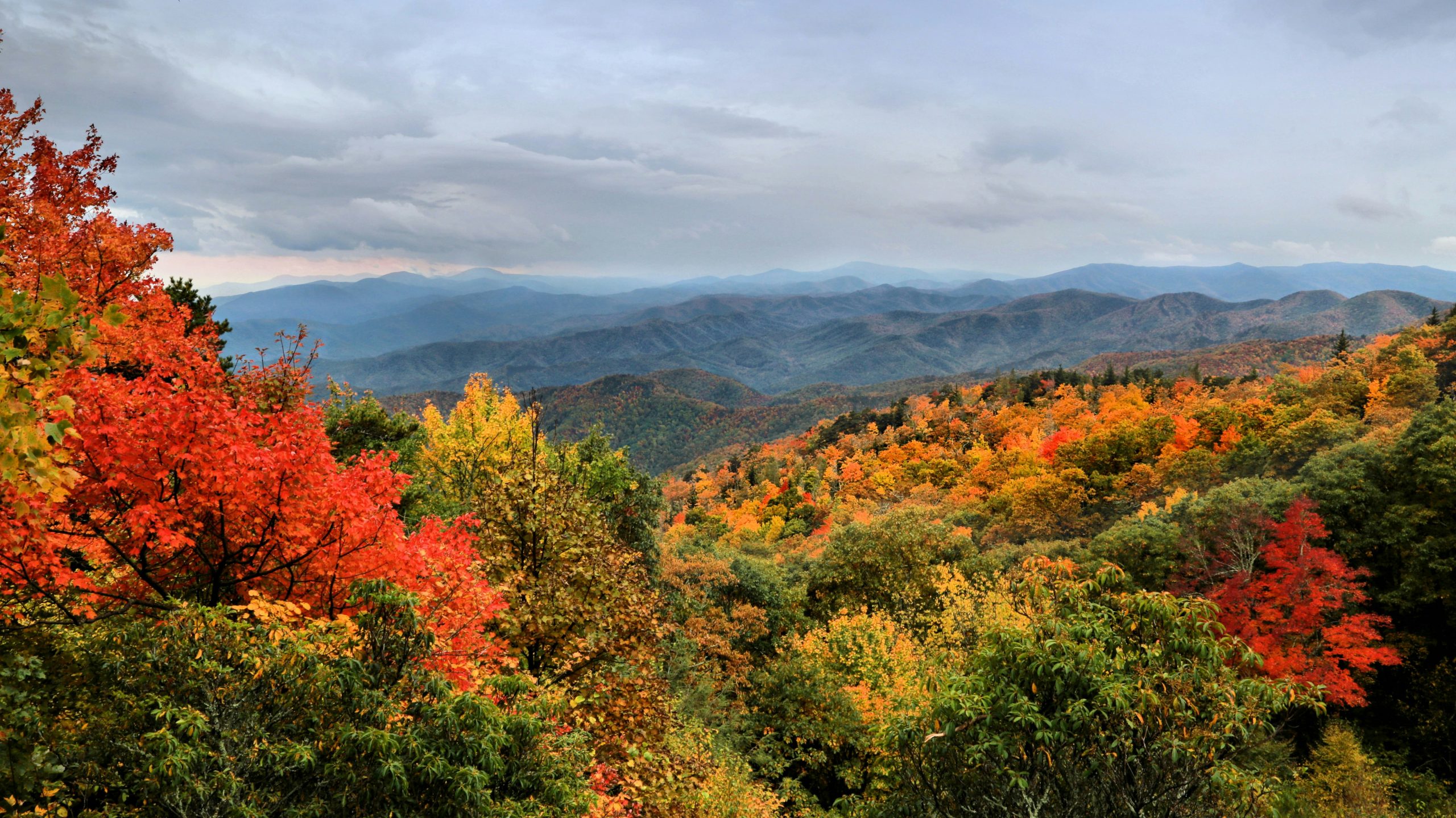 Fall in Western North Carolina - Etowah Creative Co.